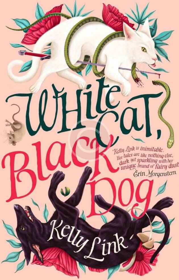 White Cat, Black Dog